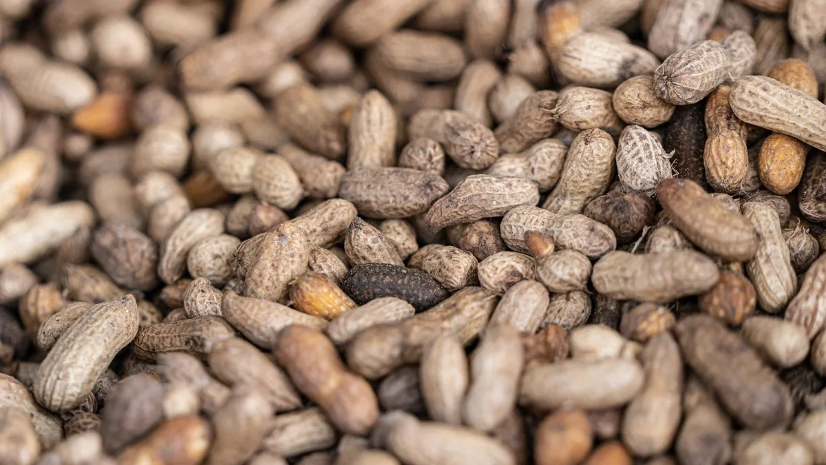 Close-up of raw peanuts — Dave's Hot Chicken does not fry in peanut oil