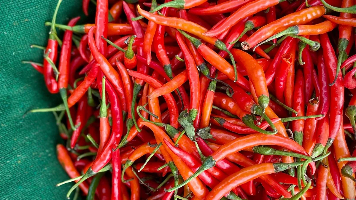 Dave’s Hot Chicken Scoville Chart: Every Spice Level in SHU